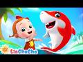 🔴Baby Shark Dance Song | Baby Shark Doo Doo Doo🦈 | Kids Songs & Nursery Rhymes | LiaChaCha