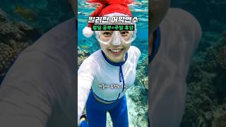 필리핀이 겨울 어학연수 최고의 장소인 이유? 영어+따뜻한 연말 동시에 챙기기