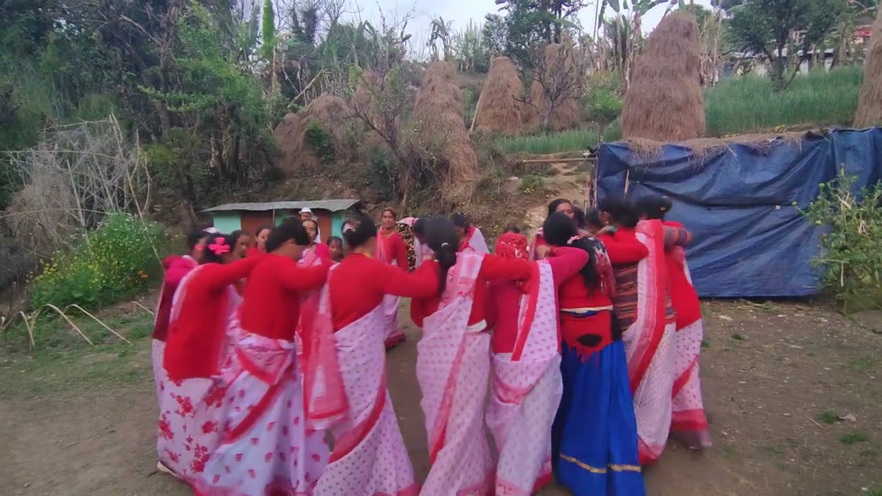 गांव मै महिलाओं की चांचरी होली मै|| 2026 #हैप्पी #होली 