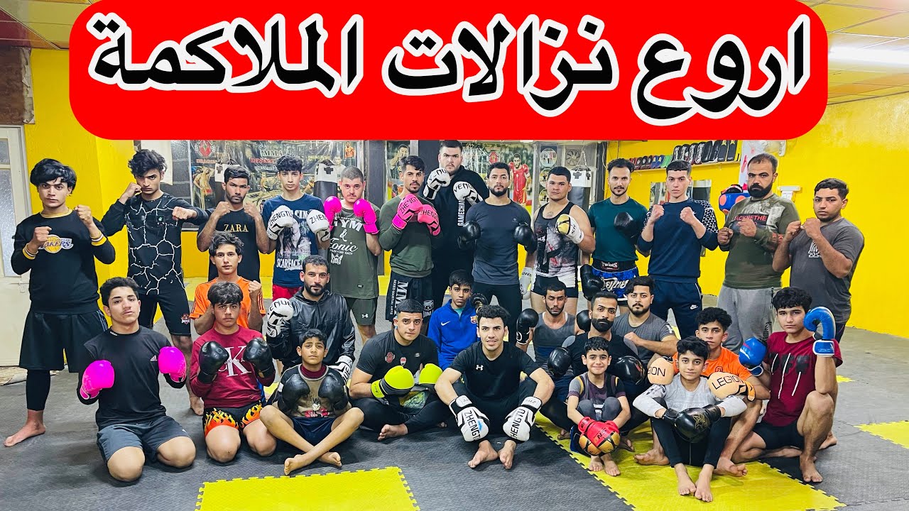 يوم ملاكمة فقط في اكاديمية التنين للفنون القتالية المختلطة