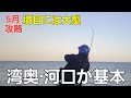釣ってる人はしている。流れてくる稚鮎やハク·鰯や夜にはアレが攻略の鍵【5月シーバス攻略編】