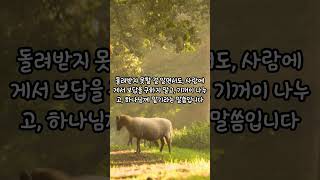 “보답 없는 사랑, 예수님은 왜 명령하셨을까?”누가복음 14장 12절~14절#예수님말씀 #보답없는사랑  #성경말씀 #하나님나라 #예수님의가르침 #기독교 #말씀묵상 #성경쇼츠