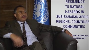 UNISDR, Africa Arab Platform assesses progress on Sendai Framework