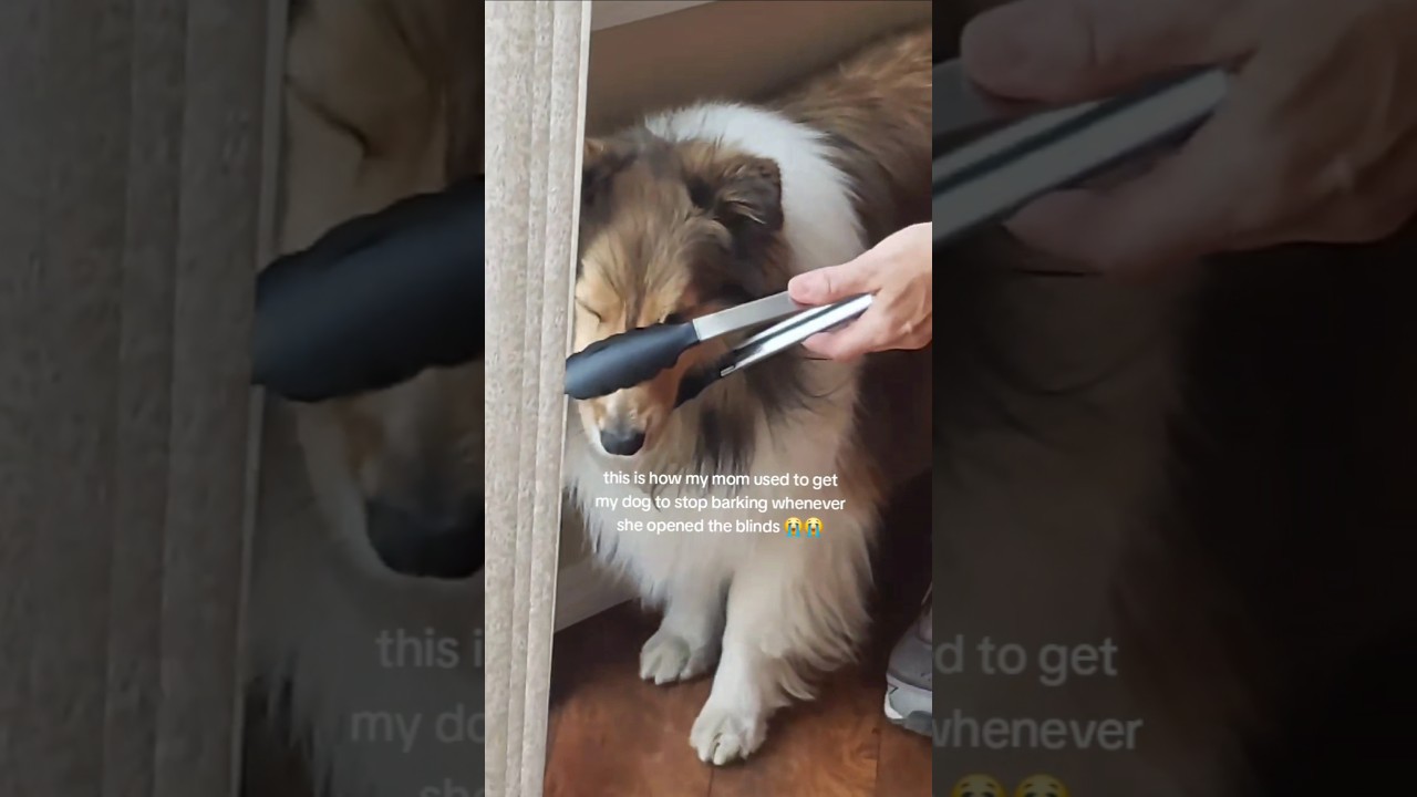 found this video from 5 years ago, how innovative 😂😂 