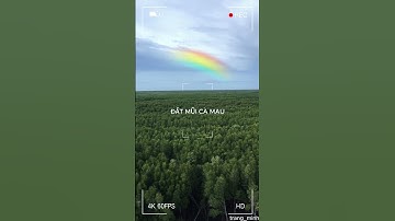 ĐẤT MŨI CÀ MAU - VLOG