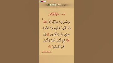 سورة النحل 💛 #اكسبلور #المصحف #الله #دويتو #الرحمن #duet #لايك #القزابري #قرآن #تيك_توك #fyp