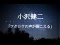 小沢健二/「フクロウの声が聞こえる」#02 JPnews禅