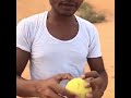 تفوتك وربي هندي ياكل حنضل هههههه