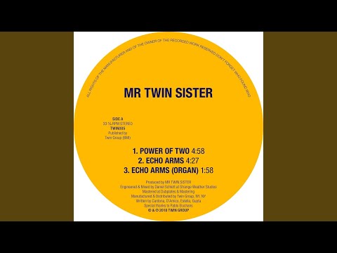 Mr Twin Sister - Echo Arms