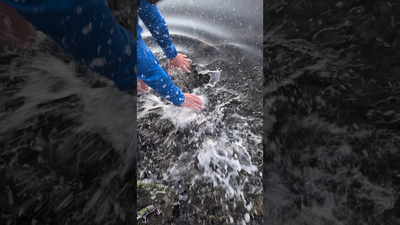 Did Not Expect That 🔥 #fishing