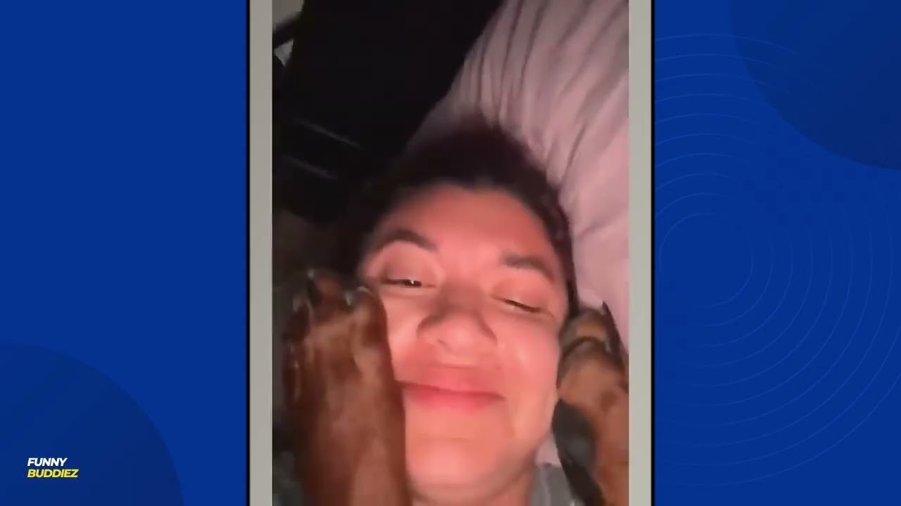 Funny Dog Pranks: Hilarious Reactions to Fake Toys!