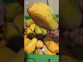 Mango is Coming in Fruit #foryou #food #nature #trending #food #unfrezzmyaccount