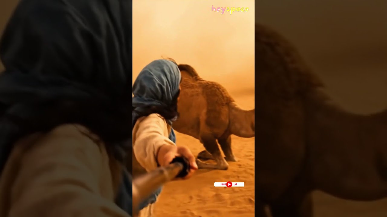 Real Footage: Camel Protects Woman from Brutal Sandstorm in Dubai! 🌪️🐪