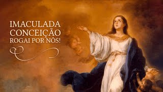 ICP - 05 DE NOVEMBRO DE 2025 - QUARTA-FEIRA