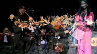 Michigan Arab Orchestra - A - Daya / على الضيعه