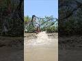 বৌদি#Amazing_Net_Fishing#village_women_fishing_channel#fishing_lady#mouni_fishing#village_life
