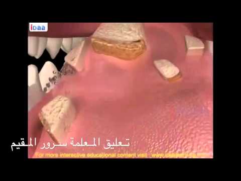 الفم