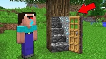 Minecraft Battle - NOOB vs PRO : NOOB FOUND SECRET ENTRANCE IN TREE! (Animation)