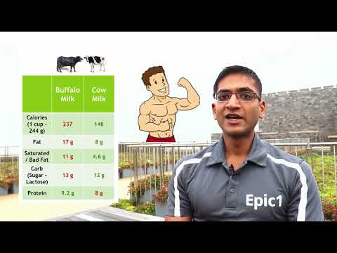 Video: Buffalo Milk: Useful Properties And Contraindications