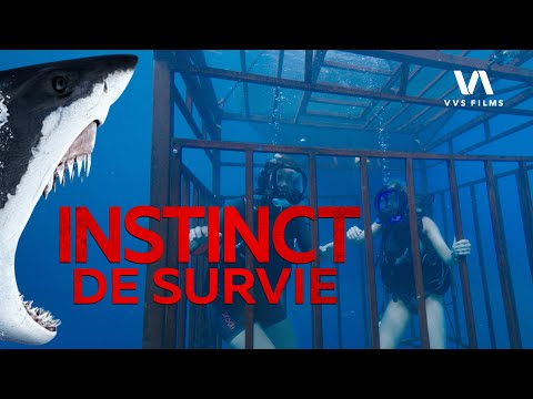 Prises dans une cage, les REQUINS les encerclent | Instinct de survie | Movie Clip 4K