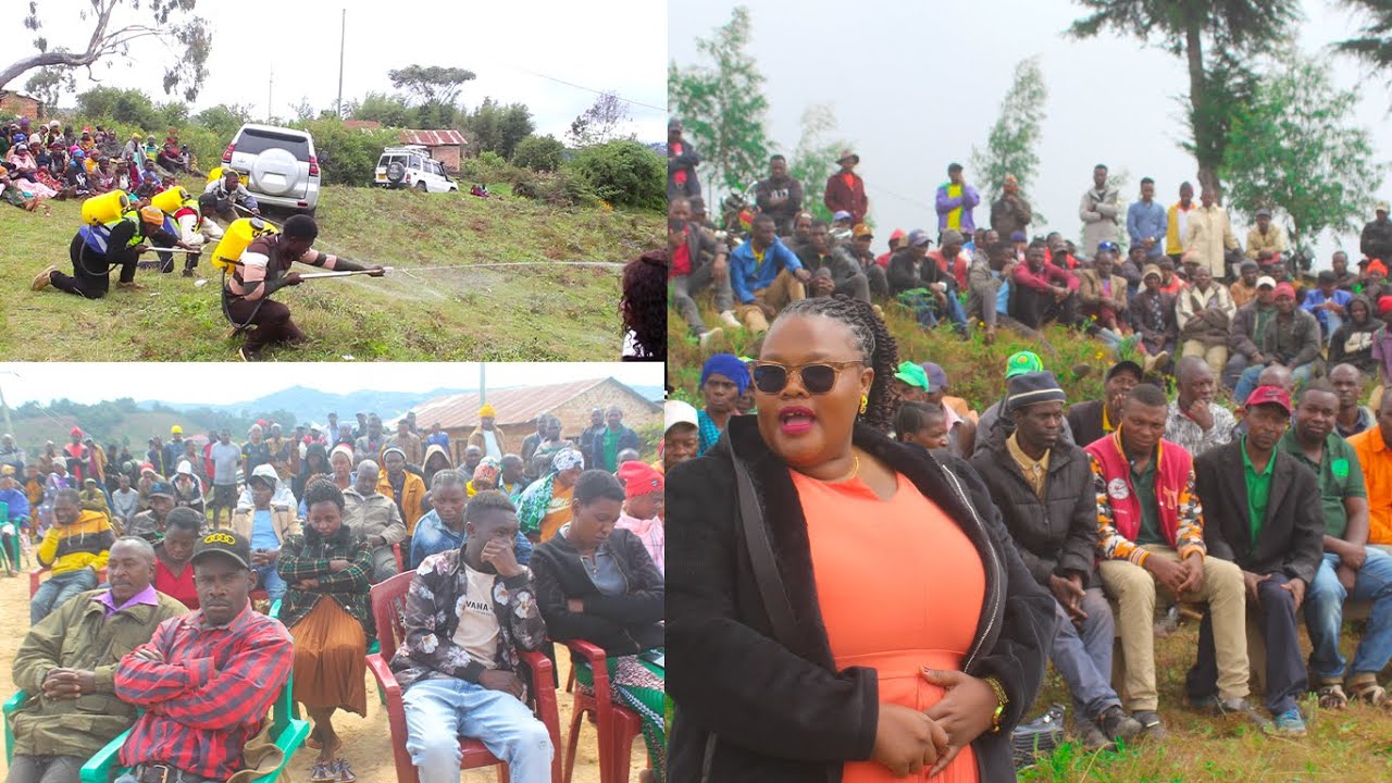 MAKETE HAWANA WIVU WA MAPENZI,WANAWIVU WA MISITU 