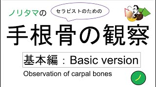 セラピストのための手根骨の観察（Observation of carpal bones）