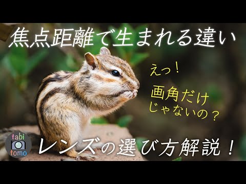 SONYのレンズ選び｜『焦点距離』は「画角」を決めるだけじゃない