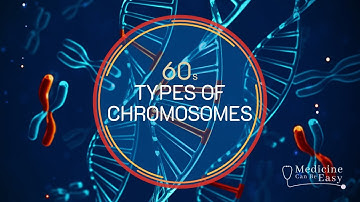 Genetics in 60 seconds: Types of Chromosomes
