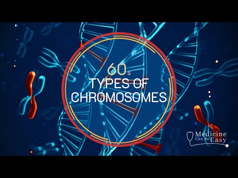 Genetics in 60