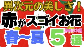 メルテン様■30ml5フラワー✕2、インパチェンス、ウォルナット、クラブアップル クラブアップル NICO SHOP