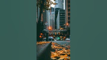 هيهات هيهات لما توعدون - سورة المؤمنون -الآية 36 القارئ ياسر الدوسري #السعودية  #قرآن #راحة_نفسية