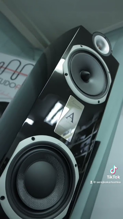Triangle Alpha speakers ✌️ #reel #audio #canada #local #speakers #winnipeg