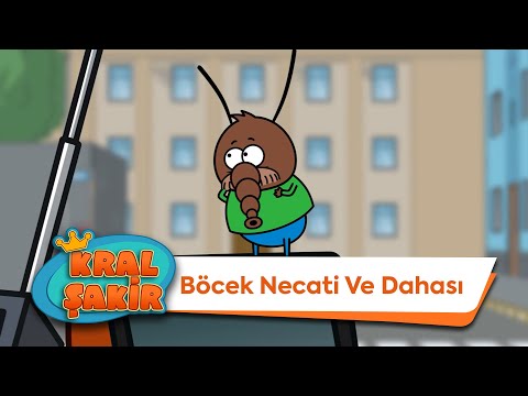 Böcek Necati ve Dahası - Kral Şakir