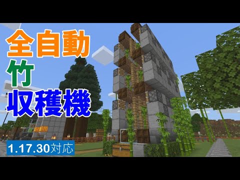 【マイクラ統合版1.17.30】全自動竹収穫機！簡単作成で毎時３６０個【おもしろ雑学】