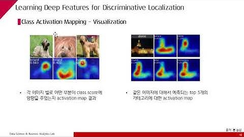 천우진 - CNN Localization 2 (CAM, grad CAM, PDA)