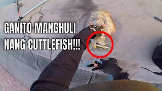 CAUGHT CUTTLEFISHES EASILY USING LURE | HOW TO CATCH CUTTLE FISH USING LURE