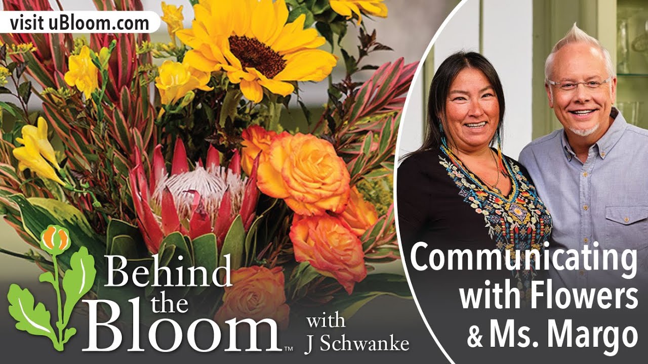 За чтением книги «Цветы Блума» с мисс Марго!