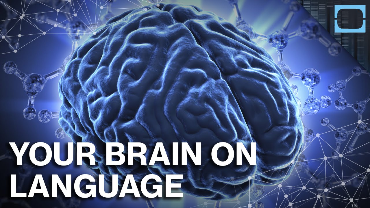 How Does Language Change Your Brain?
