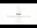 ČIŠIAI - Ti si bila moja vila