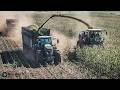Maisernte 2025 - John Deere 9900i Häcksler - 2x John Deere 8R - Fendt - Claas - Mais25 - LU Hamester