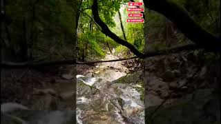 Relaxing Lo-Fi Pt5 #lofi #relax #sleepmusic #rain #ambientmusic