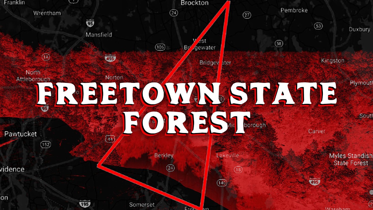 The Haunting History of the Most Disturbing Forest in America | Freetown State Forest