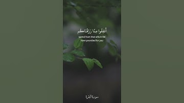 ياأيها الذين آمنوا أنفقوا مما رزقناكم من قبل أن يأتي يوم لا بيع فيه[ البقرة: 254] القارئ سعد الغامدي
