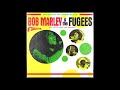 Bob marley  the fugees  you cant stop the shining full album  david begun