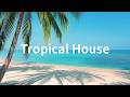 【Solo Time】🍹 Tropical House Music - Lofi Music - Relaxing Instrumental Music - Background Music