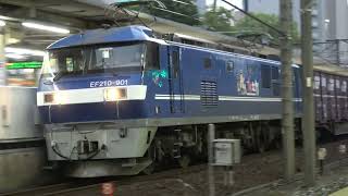 新塗装化後ようやく撮影!JR貨物EF210-901号機(試作機)+コキ24B 5064レ 金山通過 (ホイッスル警笛付き)