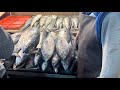 La nueva viga mercado de pescados y mariscos más grande de América Latina