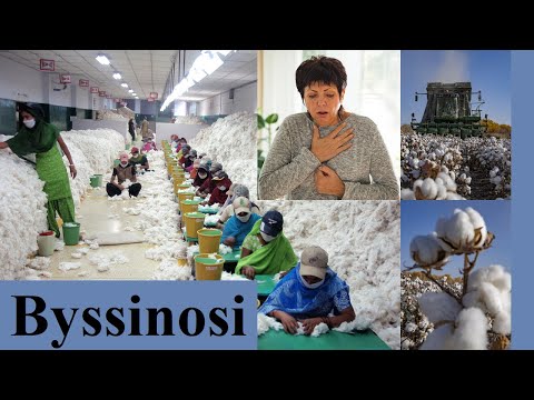 Videó: A byssinosis fertőzés?