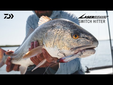 Introducing: Daiwa 2025 Switch Hitter Lures - YouTube