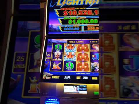Buffalo Link 4 coin bonus @ Golden Gate Casino